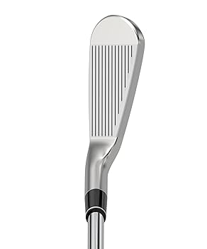 ダンロップ スリクソンZ-FORGED II 6本(5-P) DG Amazon.co.jp: DUNLOP(ダンロップ) SRIXON Z-FORGEDⅡ アイアン